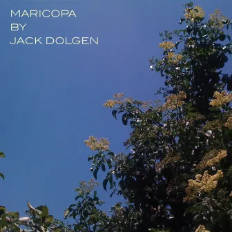 Maricopa by Jack Dolgen