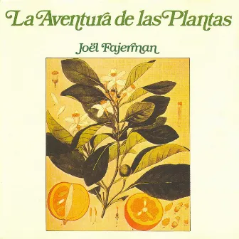 La Aventura De Las Plantas by Joël Fajerman