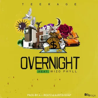 Overnight by Teerage