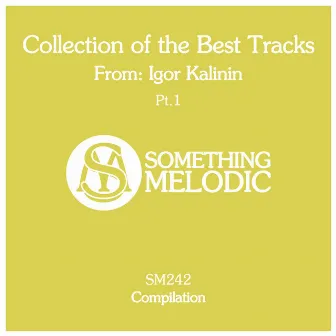 Collection of the Best Tracks From: Igor Kalinin, Pt. 1 by Igor Kalinin