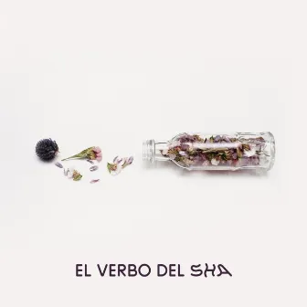 El Verbo del Sha by Nadine Masri