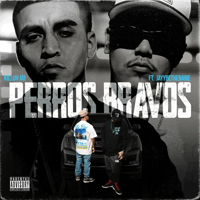 Perros Bravos