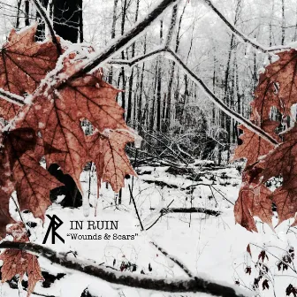 Wounds & Scars by In Ruin