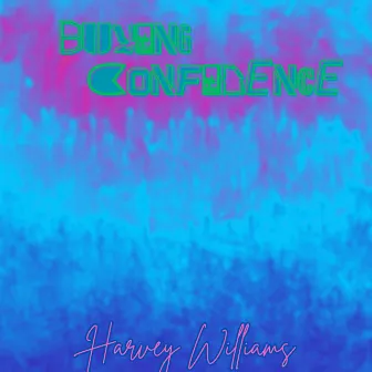 Buying Confidence by Harvey Williams