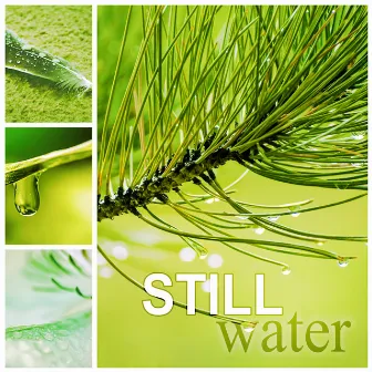 Still Water – Mind and Soul, Relax Your Body, Breathing Exercises, Natural Sounds for Pilates and Wellness by Waterfalls Music Universe