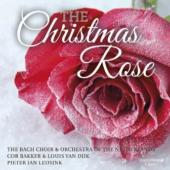 The Christmas Rose by The Bach Orchestra of the Netherlands