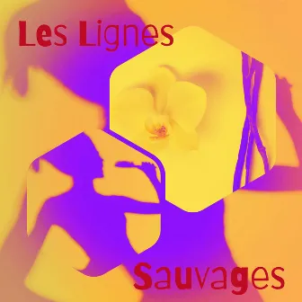 Les lignes sauvages by Melopée