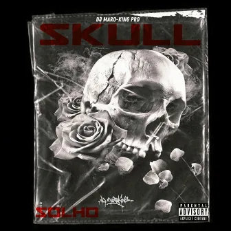 skull by Solho