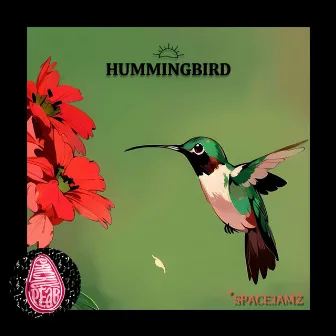 Hummingbird by Prickly Pear Records