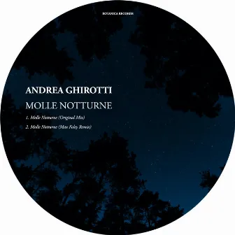 Molle Notturne by Andrea Ghirotti