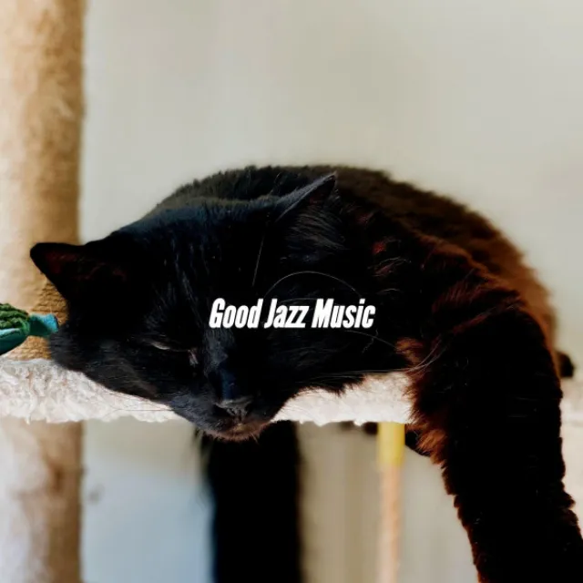 Good Jazz Music