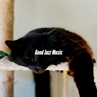 Good Jazz Music by Soft Dinner Music