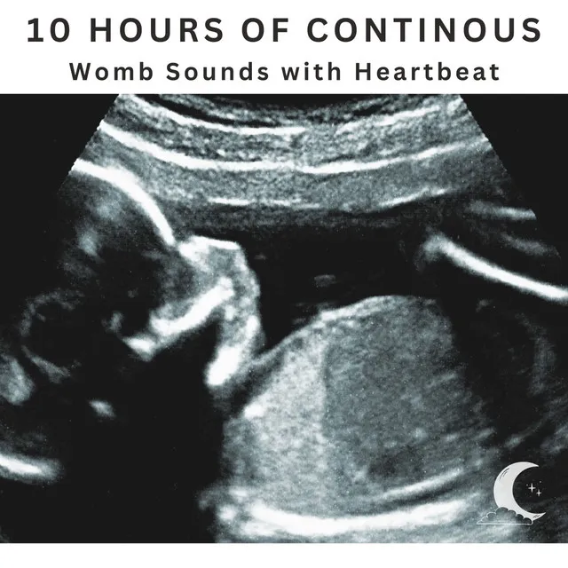 10 Hours Continuous WOMB Sounds With Heartbeat