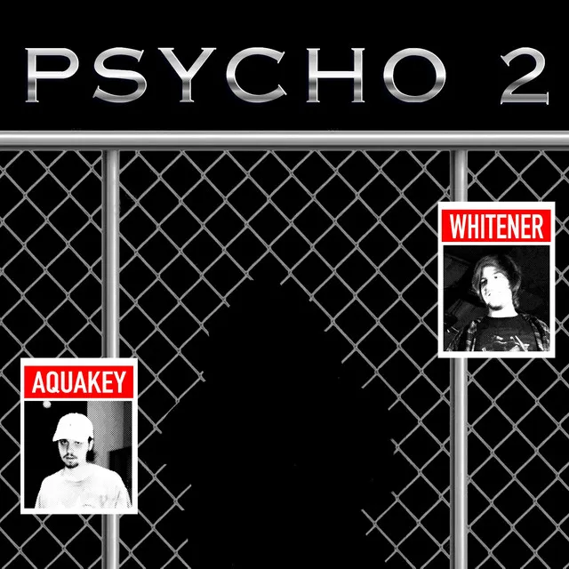 psycho 2