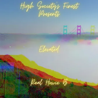 Elevated by Real Howie B