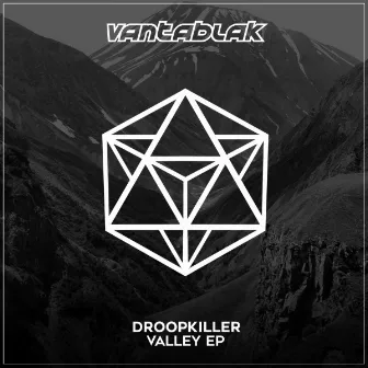 Valley EP by Droopkiller