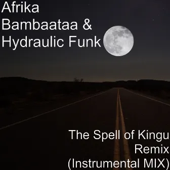 The Spell of Kingu (Remix) [Instrumental Mix] by Afrika Bambaataa