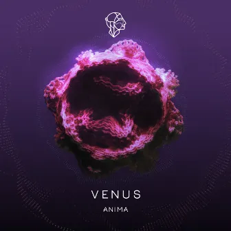 Venus by Anima