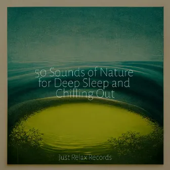 50 Sounds of Nature for Deep Sleep and Chilling Out by Spa Relaxation & Spa