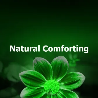 Natural Comforting by Music of Nature