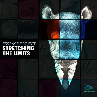 Stretching the Limits by Essence Project