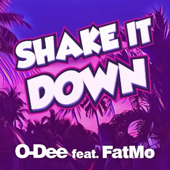 Shake It Down by O-Dee