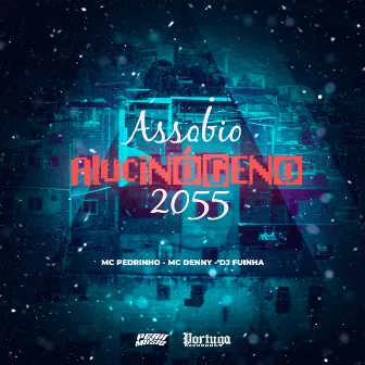 Assobio Alucinogeno 2055 by DJ Fuinha