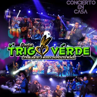 Concierto en Casa by Grupo Trigo Verde