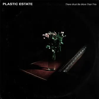 There Must Be More Than This by Plastic Estate