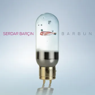 Barbun by Serdar Barçın