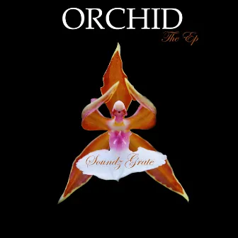 Orchid by DJ Soundz Grate