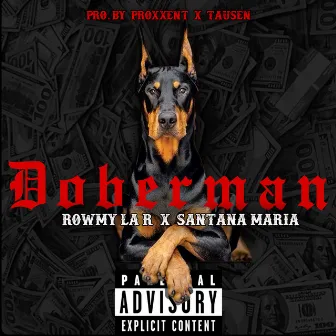 Doberman by rowmy La R