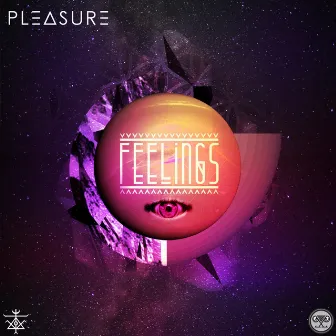 Feelings by Pleasure