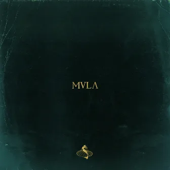 MVLA by Maaisen