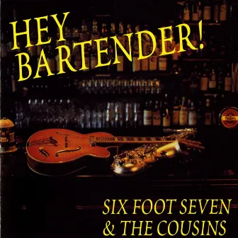 Hey Bartender by Six Foot Seven and the Cousins