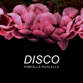 Pimeällä puolella by DISCO