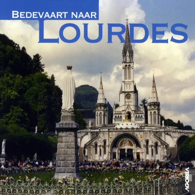 Bedevaart Naar Lourdes