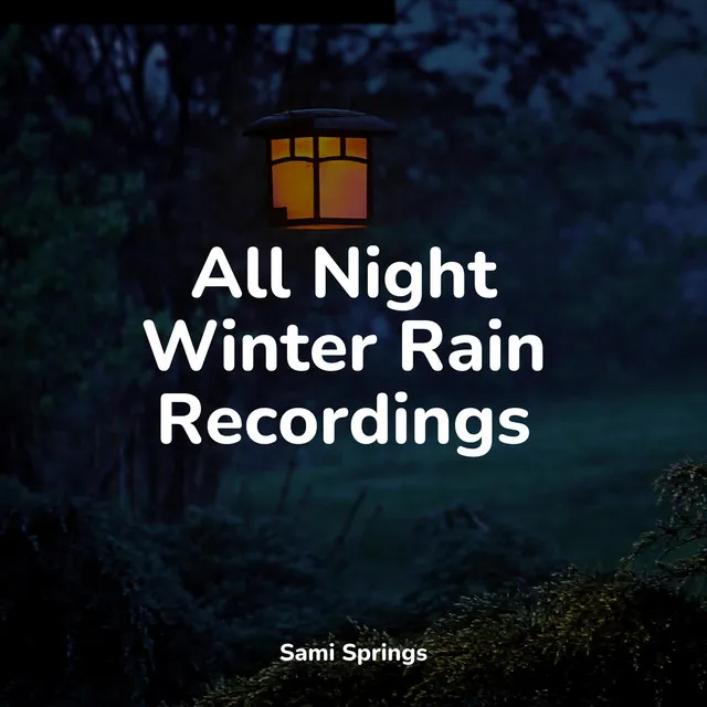 All Night Winter Rain Recordings