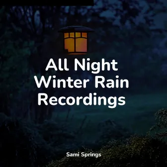 All Night Winter Rain Recordings by Nature Noise