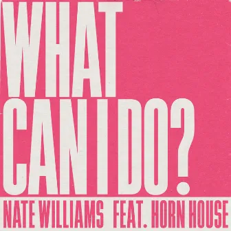 What Can I Do? by Nate Williams