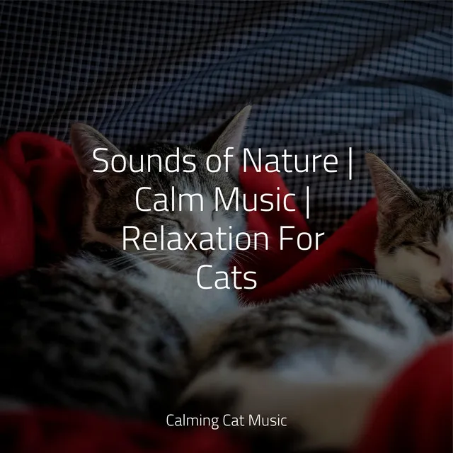 Sounds of Nature | Calm Music | Relaxation For Cats