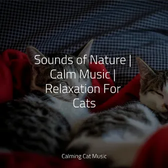 Sounds of Nature | Calm Music | Relaxation For Cats by Cat Music Dreams