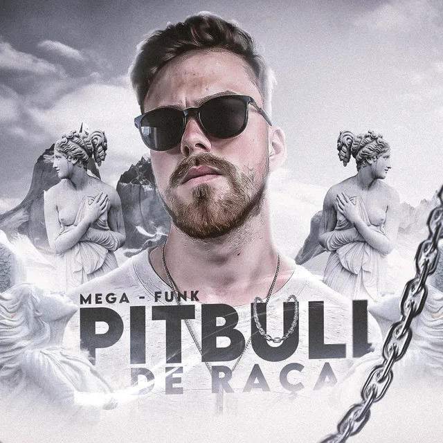 MEGA FUNK PITBULL DE RAÇA