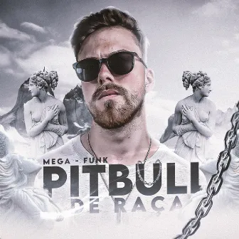 MEGA FUNK PITBULL DE RAÇA by DJ WØLVZ