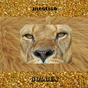 Golden by Mestizo