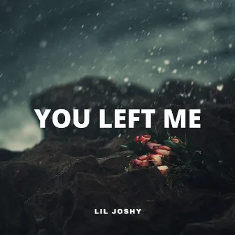 You Left Me by Lil Joshy