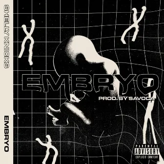 Embryo by Shelly Knicks