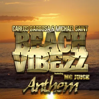 Beach VibezZ (Anthem) by Carlos Barbosa