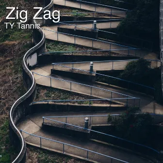 Zig Zag by Ty Tannic