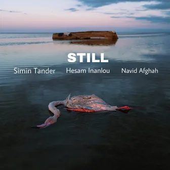 Still by Simin Tander